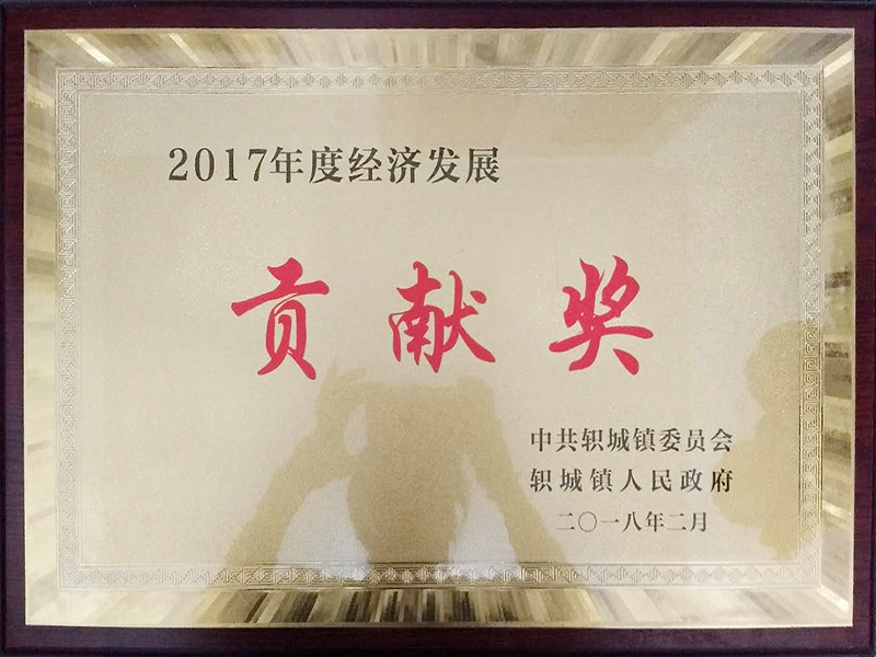 2017年度經濟發展貢獻獎